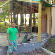  ,   Alexei, 40 ,   ,   , c 