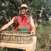 ���������� ��������, ���� ������� �������, 44 ����, ������������ ��� ������, ����� � ���������