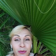  ,   , 56 ,   ,   