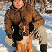 ���������� ���������, ���� ������� ���������, 46 ���, ������������ ��� ������, ����� � ���������