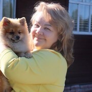 ���������� �����, ���� ������� ���������, 50 ���, ������������ ��� ����� � ���������, c�������� ���������