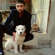 ���������� ������, ���� ������� �����, 35 ���, ������������ ��� ����� � ���������, c�������� ���������