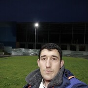  ,   Mishka, 33 ,   ,   , c 