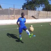  ,   Lamin best, 41 ,   ,   