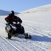 ���������� �������, ���� ������� ���������, 39 ���, ������������ ��� ������, ����� � ���������, c�������� ���������