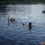  ,   , 56 ,   ,   , c 