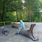 ���������� ������-��-����, ���� ����� ������, 23 ����, ������������ ��� ������, ����� � ���������