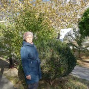  ,   , 73 ,   ,   , c 