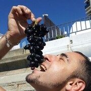  ,   , 41 ,   ,   