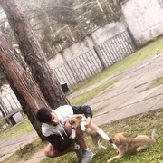 ���������� ��������, ���� ������� ����, 31 ���, ������������ ��� ������, ����� � ���������, c�������� ���������