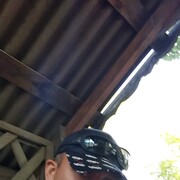 ���������� �����������, ���� ������� ����, 43 ����, ������������ 