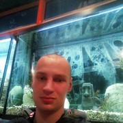 ���������� ���������, ������� �����, 31