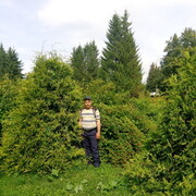  ,   , 37 ,   ,   