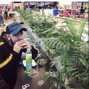 ���������� �������, ���� ������� Akbar, 26 ���, ������������ ��� ������, ����� � ���������, c�������� ���������