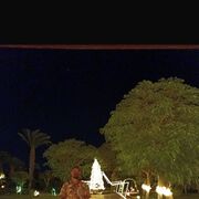  ,   Sebastian, 39 ,   ,   , c 