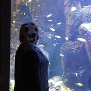 ���������� ����� �������, ���� ������� ������, 63 ����, ������������ ��� ������, ����� � ���������, c�������� ���������