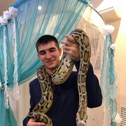  ,   , 28 ,   c 