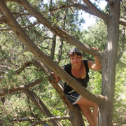 ���������� ���������, ���� ������� �������, 52 ����, ������������ ��� ����� � ���������, c�������� ���������