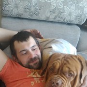 ���������� �����������, ���� ������� ������, 45 ���, ������������ ��� ������