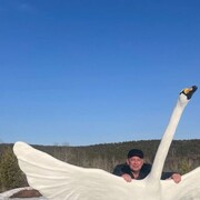 ���������� �������������, ���� ������� �������, 60 ���, ������������ ��� c�������� ���������