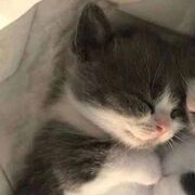  --,   , 26 ,   ,   