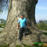 ���������� ����, ���� ������� �����, 46 ���, ������������ ��� ������