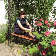 ���������� ������, ���� ������� ������, 53 ����, ������������ ��� ����� � ���������, c�������� ���������