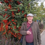  ,   , 60 ,   c 