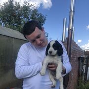 ���������� �����������, ���� ������� �������, 27 ���, ������������ ��� ������, ����� � ���������