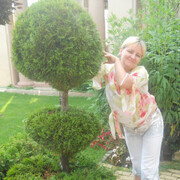  ,   , 52 ,   