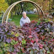 ���������� �����, ���� ������� ���, 52 ����, ������������ ��� ����� � ���������, c�������� ���������