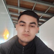 ���������� ������, ���� ������� Daler, 26 ���, ������������ ��� ������, ���������