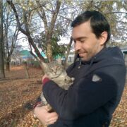 ���������� ���������, ���� ������� ������, 40 ���, ������������ ��� ������, ����� � ���������, c�������� ���������