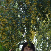  ,   , 50 ,     , c 