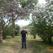 ���������� ����, ���� ������� Dima, 45 ���, ������������ ��� ������