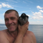 ���������� �������, ���� ������� ������, 61 ���, ������������ ��� ������