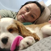 ���������� ������������, ���� ������� �������, 46 ���, ������������ ��� c�������� ���������