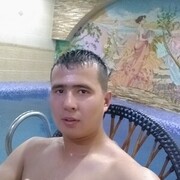 ���������� �������, ���� ������� Sardor, 33 ����, ������������ ��� ������, ����� � ���������, c�������� ���������