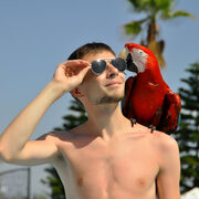 ���������� �����������, ���� ������� �����, 33 ����, ������������ ��� ����� � ���������, c�������� ���������, ���������