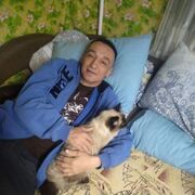 ���������� ������, ���� ������� ���������, 52 ����, ������������ ��� ������, ����� � ���������, c�������� ���������