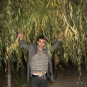  ,   Samir7333693, 33 ,   ,   , c , 