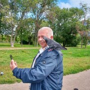  -,   , 60 ,     , c 