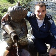  ,   , 44 ,  