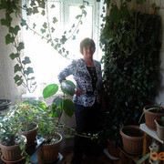 ���������� ������, ���� ������� �����, 63 ����, ������������ ��� ������, ����� � ���������, c�������� ���������