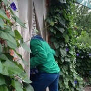  ,   , 53 ,   ,   , c 