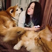 ���������� ���������, ���� ������� ���, 21 ���, ������������ ��� c�������� ���������