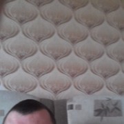  ,  , 43