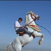 ���������� ������, ���� ������� �������, 30 ���, ������������ ��� ������, ����� � ���������