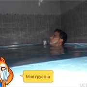  ,   Sokol, 38 ,   