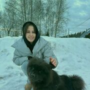 ���������� ������, ����������